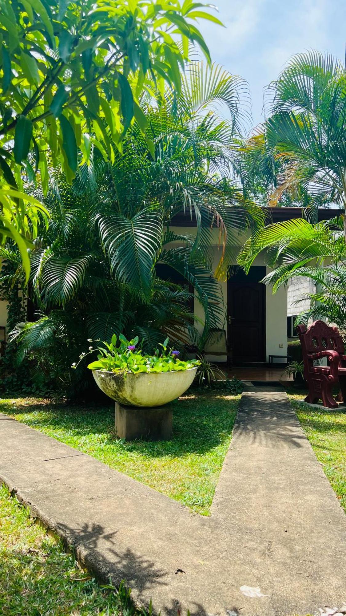 Lal Home Stay シギリヤ エクステリア 写真
